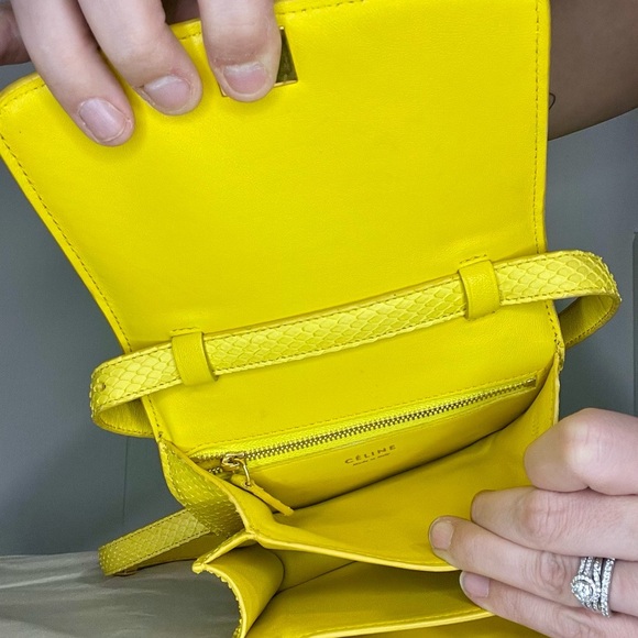 Celine Classic Box Bag Yellow Python Crossbody - Picture 9 of 16